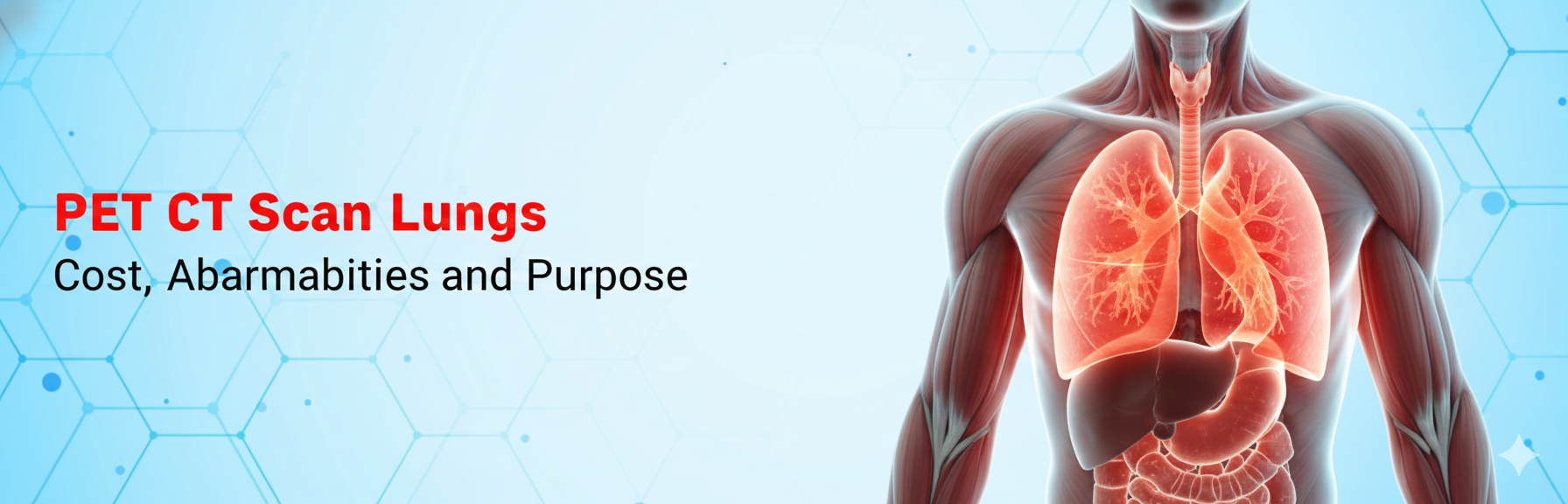  PET CT Scan Lungs Cost, Abnormalities and Purpose